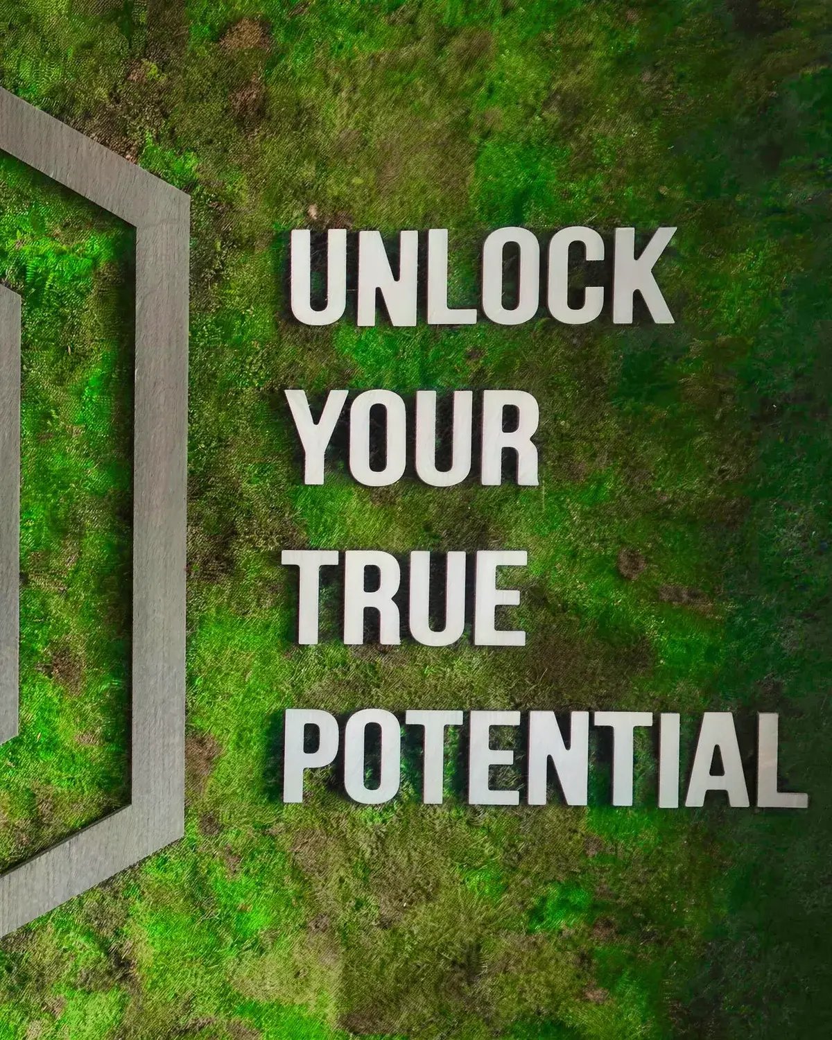 The Unlock Your True Potential wall inside a True Test clinic